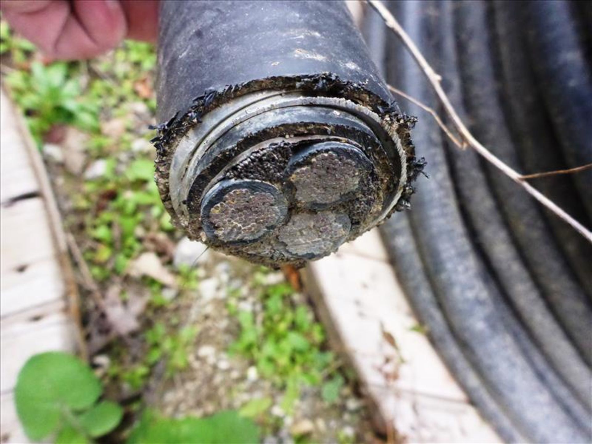 reel of electrical cable, approx. 500 ft. Belden 1229530 E135452-G VFD cable 3C2/0 shielded 600V - Image 2 of 2