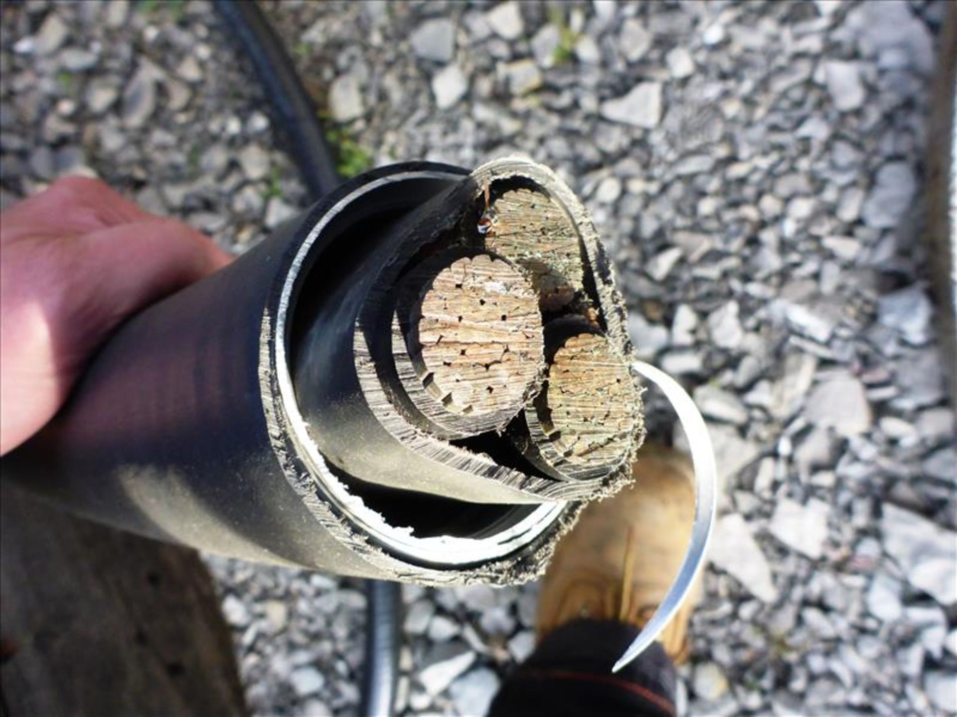 reel of electrical cable, approx. 60 ft., 00482 M -I- Jun/2013 Nexans Firex - II 500 KCM // /3C Teck - Image 2 of 2