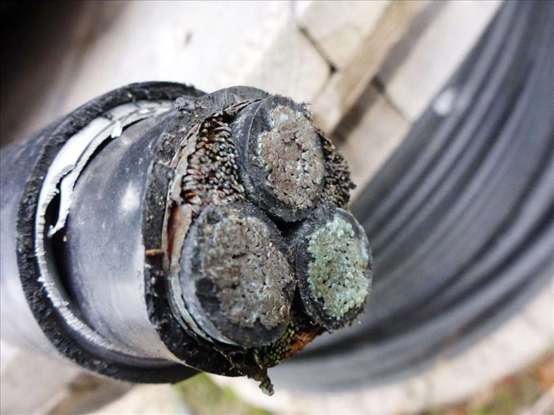 reel of electrical cable, approx. 360 ft. Belden 1229530 E135452-G VFD cable 3C2/O shielded 600V - Image 2 of 2