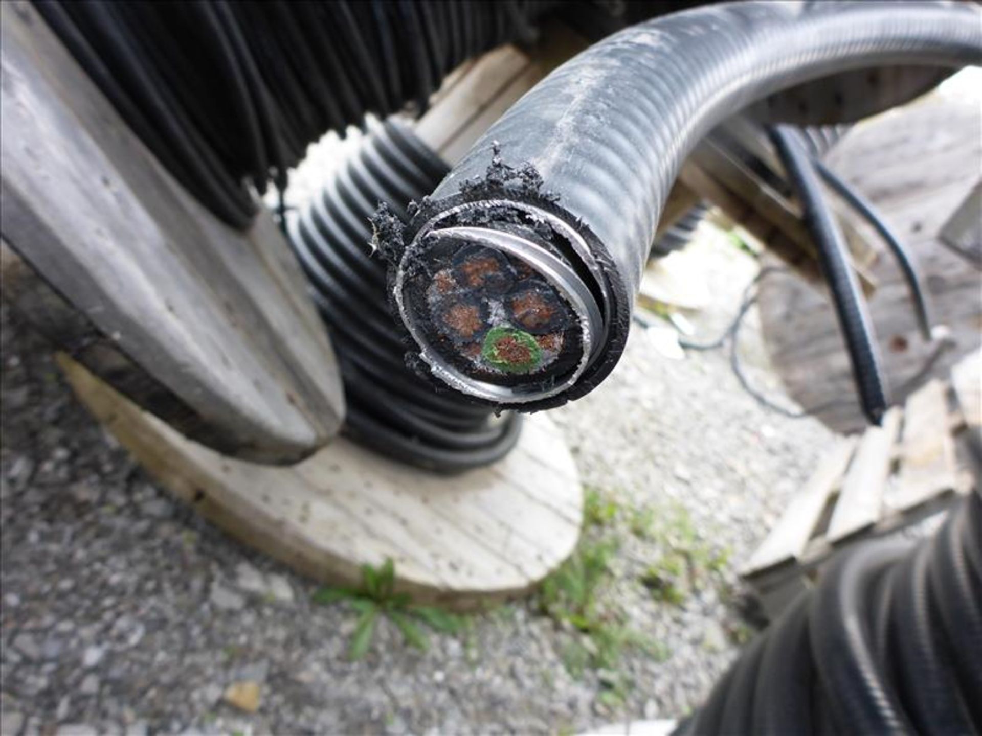 reel of electrical cable, approx.1000 ft., Belden 1229505 E135452-G VFD cable 4C6 shielded 600V - Image 2 of 2