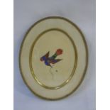 Vintage oval framed hummingbird picture