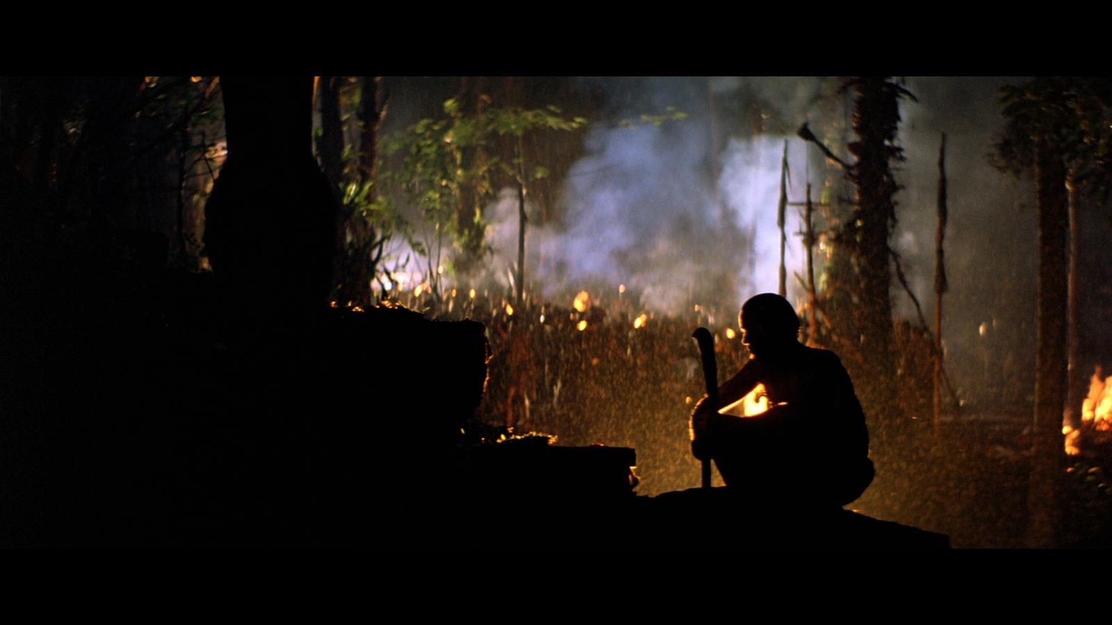 APOCALYPSE NOW (1979) - Captain Willard's (Martin Sheen) Machete Blade Captain Willard’s (Martin - Image 12 of 13