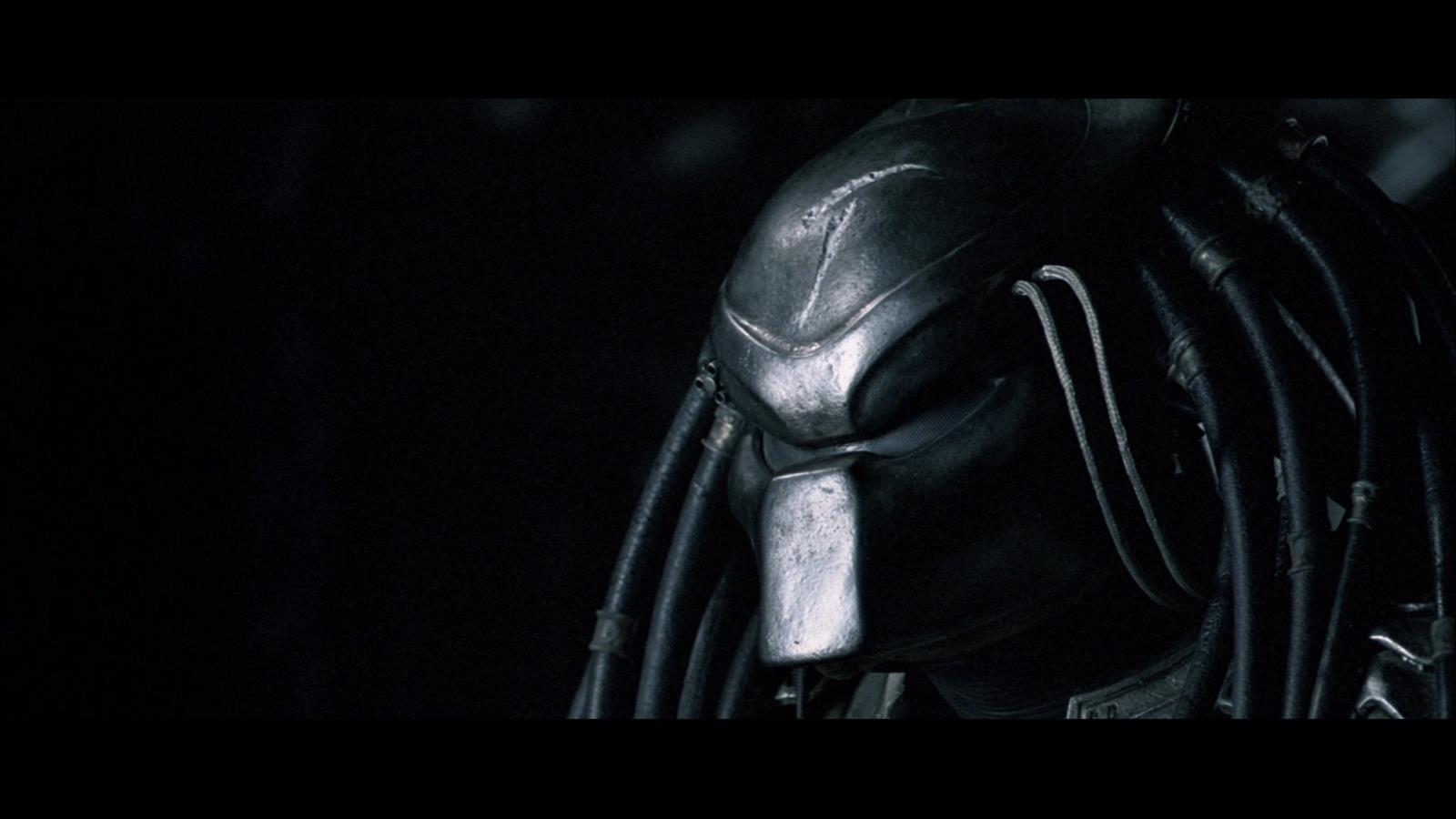 ALIEN VS. PREDATOR (2004) - Scar Predator's (Ian Whyte) Mask The Scar Predator’s (Ian Whyte) mask - Image 16 of 16