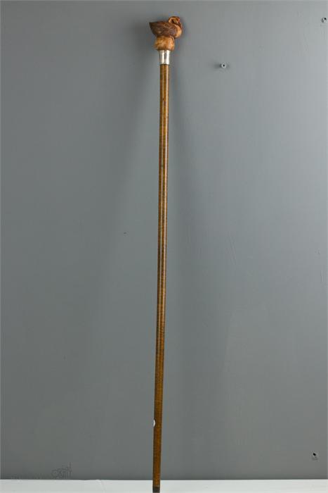 A walking cane with bird carved top.