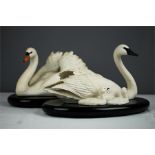A pair of bisque porcelain Franklin Mint models titled The Royal Swan and Under Her Wing, by