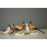 A pair of Royal Doulton Mallard ducks; HN808, HN2591, a pair of porcelain pheasants, and a porcelain