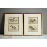 Two pairs of 19th century prints: The Zebra, Hippotigns Antiquorum Angola Dauw, both 10 by 15cm,