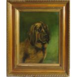 J. Moreton Hughes (20th century): oil on canvas of a bloodhound, circa 1908.