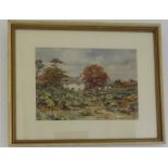 WB Fortescue (20th century): Cottage in Landscape, 18 by 25cm.