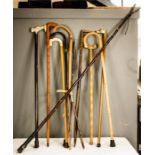 A collection of twelve walking sticks, of various style and form.