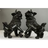 A pair of Chinese bronze dogs of fo.