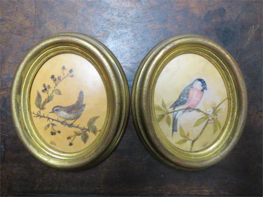 D.B.M a pair of ornithological studies, oil on board, both 8 by 6cm.