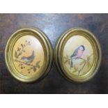 D.B.M a pair of ornithological studies, oil on board, both 8 by 6cm.