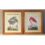 A pair of prints, depicting a crane and a flamingo, 38 by 27.5cm.