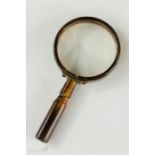 A tortoiseshell magnifying glass.