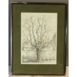 A. J Morely, sketch of a tree, pencil on paper, dated 1983, 29 by 20cm.