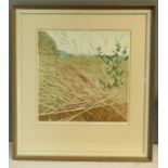 Frances Clair Miller, a Field Near Vernham Dere, 71/75 coloured print, 42 by 41cm