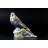 A Royal Crown Derby Violet Budgerigar MMIX.