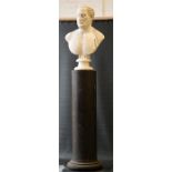 A plaster bust of Metredorvs, raised on an early 19th century ebonised plinth.