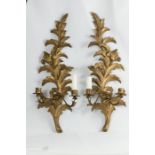 A pair of carved and gilded wall sconces.