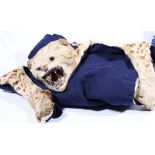 Taxidermy leopard skin rug, on blue felt, 140cm.