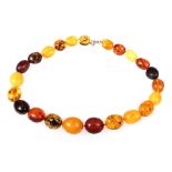 Strand of twenty-three amber beads of different colours and inclusions with silver clasp, 64g,