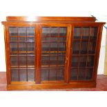 Edwardian mahogany bookcase enclosed by three astragal glazed doors, on a plinth base,