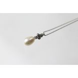 A diamond and untested pearl pendant and chain, contemporary,