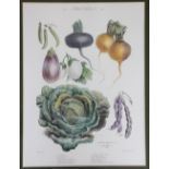 After Vilmorin - Andrieux & Cie, four French colour prints of vegetables,