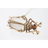 A Victorian insect brooch, possibly a Stag Beetle, with carved moonstone body,