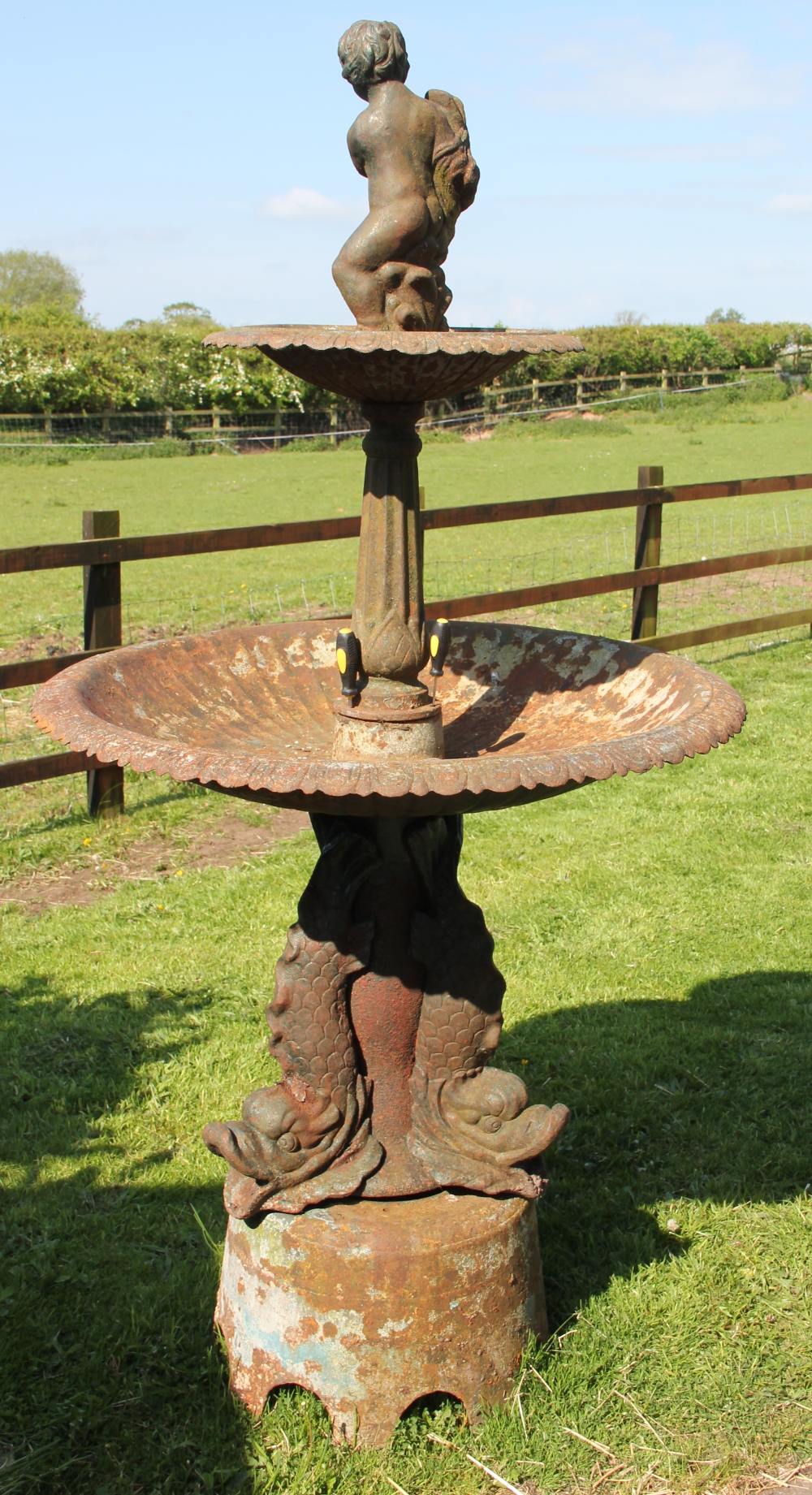 A cast iron garden fountain, modelled with a cherub below a circular pool, on dolphin base,