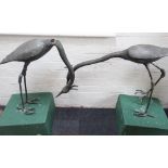 A large pair of lead garden figures of Cranes, with engraved detailing,