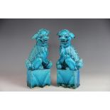 A pair of Chinese models of temple dogs on plinths, with turquoise glaze, 25.