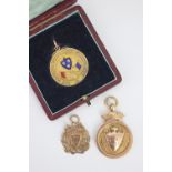 SHROPSHIRE INTEREST: A 9ct gold and enamel The Football Combination Championship football medal to