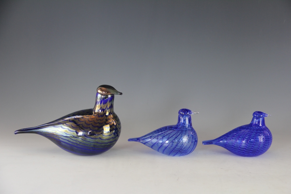 Three Oiva Toikka for Iittala glass birds, Finnish, to include; two 'Sinisulka' in blue 11cm and 13.