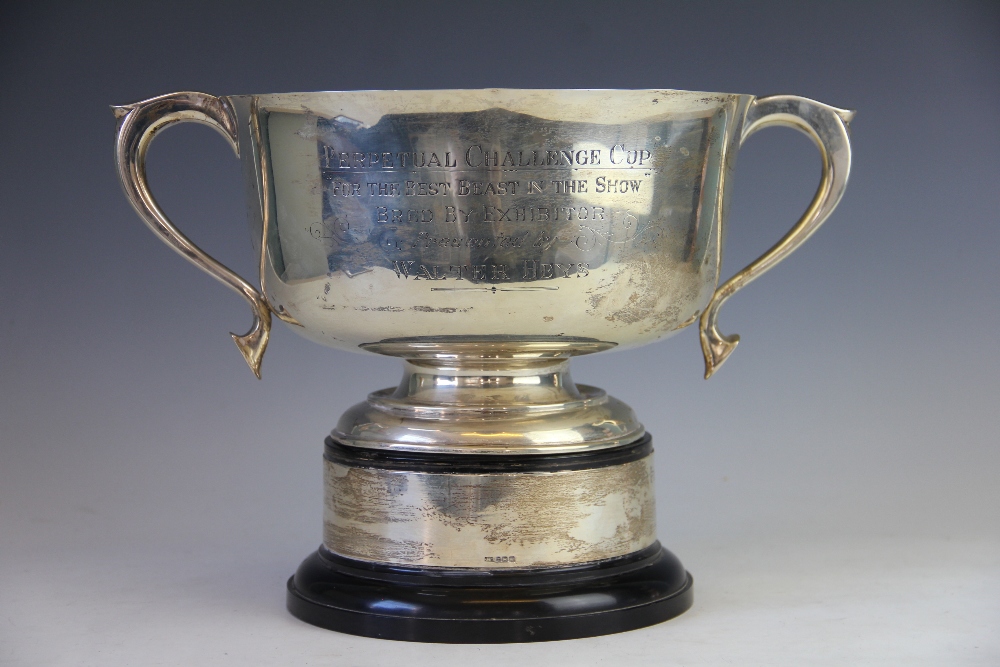 A silver two handled pedestal trophy bowl, William Hutton & Sons Ltd, Birmingham 1910, - Image 2 of 2