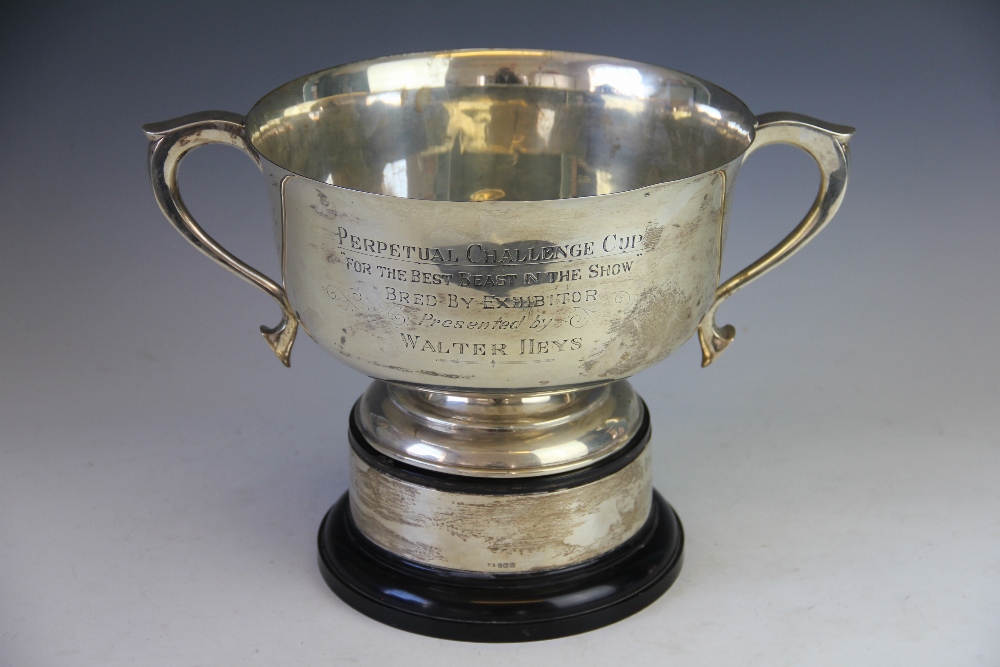 A silver two handled pedestal trophy bowl, William Hutton & Sons Ltd, Birmingham 1910,