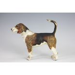 An early 20th century Austrian cold painted bronze model of a beagle dog, in the manner of Bergman,