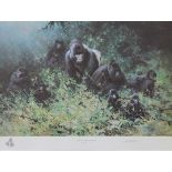 David Shepherd, limited edition print, The Mountain Gorillas of Rwanda, No 666/1500,