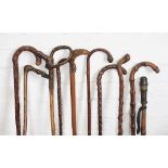 A collection of ten gnarled wood, bamboo and other wood walking canes,