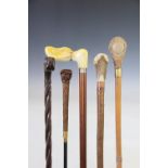 A collection of five walking sticks,