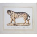 A set of four colour reproduction animal prints of 18th century engravings, panther, camel,