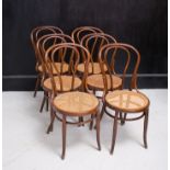 LOTTO DI N. 6 SEDIE THONET