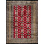TAPPETO Kashmir, trama e ordito in cotone e vello in lana. XX secolo Misure: cm 186 x 127