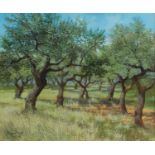 OLIO su faesite "paesaggio boschivo". XX secolo Misure: cm 49 x 41