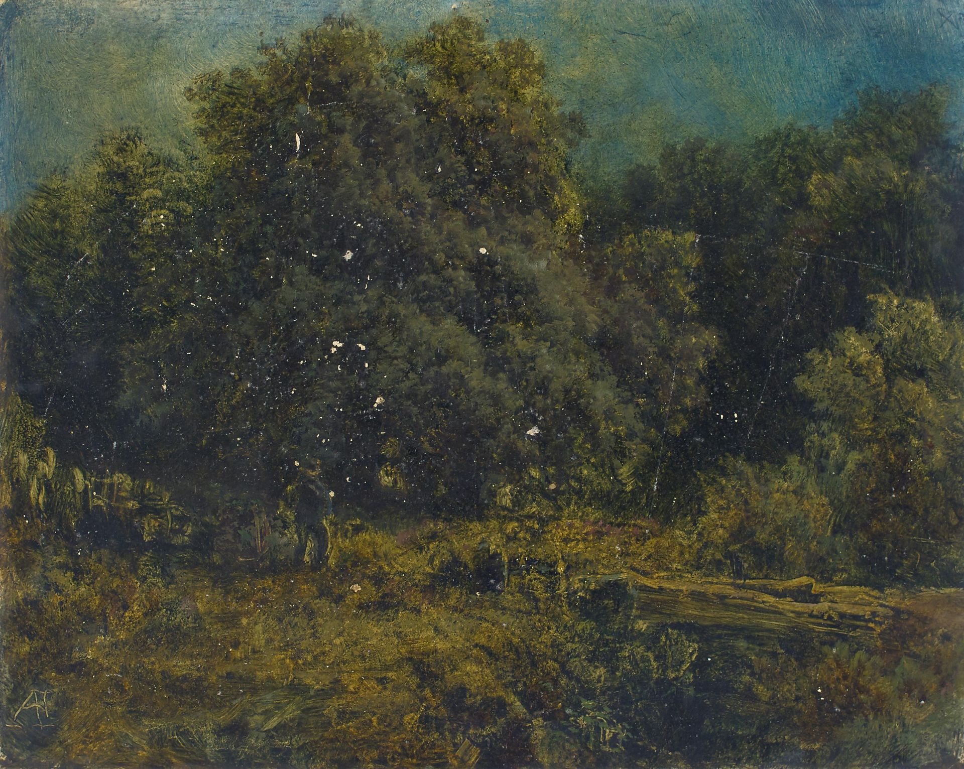 Piepenhagen, August 1791 Soldin - 1868 Prag Waldstück. Ölskizze. Öl auf Papier. 21,4 x 26,5cm.