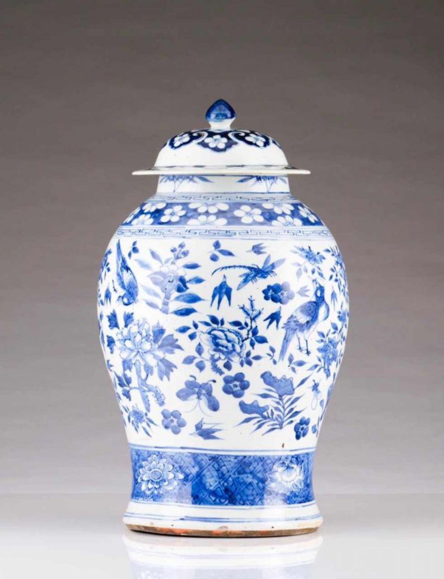 A vase Chinese porcelain Blue under glaze decoration depicting flowers, birds and insects Kangxi