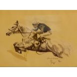 DESERT ORCHID PICTURE.