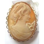 GOLD CAMEO. 9ct gold cameo brooch