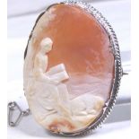 CARVED SHELL CAMEO.